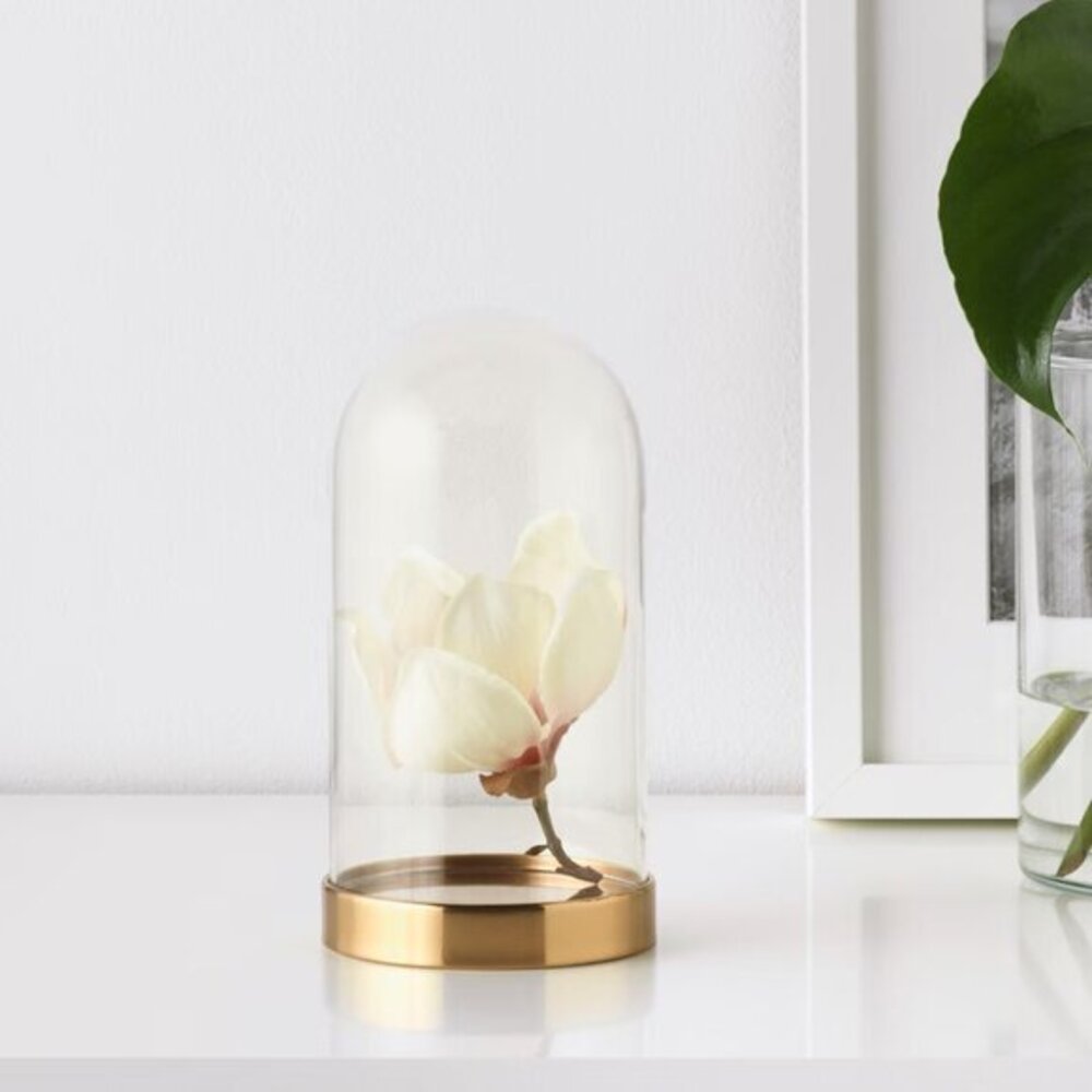 Decoratve Glass Dome / Cloche NIP